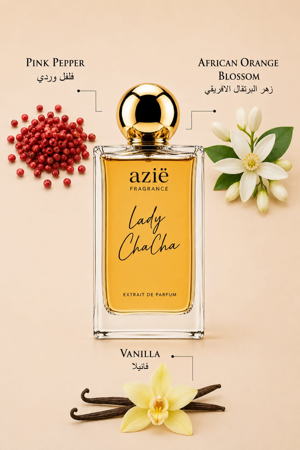 Lady ChaCha